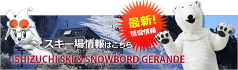 積雪情報