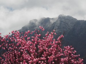 DSCF4665